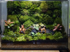 Image: 9X boy earns hundreds of millions per month from the hobby of ‘green glass’