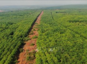 Image: Defense Ministry agrees to build specialized airport in Binh Phuoc