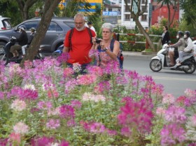 Image: Dalat Flower Festival takes place over two months
