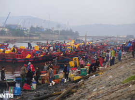 Image: Going one night, Nghe An fishermen earned thousands of dollars