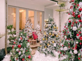 Image: Going to 3 cafes to take advantage of the Christmas photo shoot, waiting for the day to come to take pictures, you have to wait