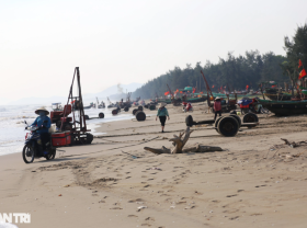 Image: Hand-picked high-class specialties, fishermen make thousands of dollars every day