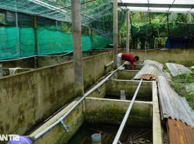 Image: In the swarming million-dollar estate of the Western brother, everyone is afraid to see