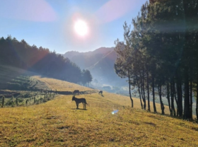 Image: Let your soul ‘chill’ with the peaceful and picturesque H’Mong village in Van Ho