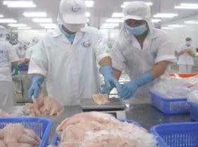 Image: Pangasius fish exports grow strongly