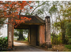Image: The famous ancient village of Hanoi, everyone wants to visit once because the scenery is so peaceful