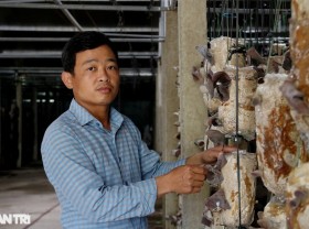Image: The guy who quit his job and returned to his hometown to get rich from mushrooms