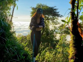 Image: The primeval forest conquers Nhiu Co San, the 9th highest mountain in Vietnam