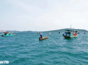 Image: The secret to hunting unique and strange squid is which squid sticks to the squid of Phu Quoc fisherman