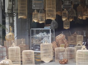 Image: The village “builds houses” for birds, produces 3000 pieces/day, and workers can’t finish their work