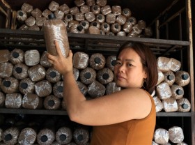 Image: The woman rose out of poverty thanks to the mushroom farming model