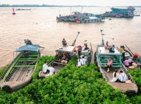 Image: An Giang is idyllic
