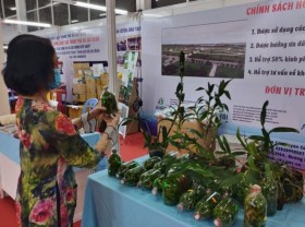 Image: Int’l agriculture fair generates VND20 billion in sales