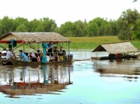 Image: Tram Chim National Park investment project approved