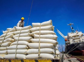 Image: Transport link between Mekong Delta and Cai Mep, Cat Lai ports proposed