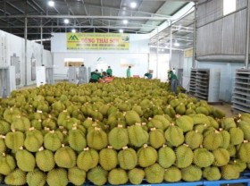 Image: Vietnam-China trade put at US$148 billion in Jan-Oct