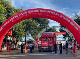 Image: Vietnam’s first macadamia shipment sent to Japan
