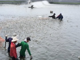 Image: Waste from fishing industry sparks concern