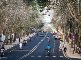 Image: DA LAT travel experience 2022 from A-Z: Top 20+ newest must-visit places