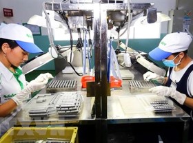 Image: HCMC businesses to recruit 43,000 workers in run-up to Tet