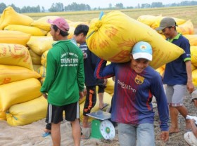 Image: Vietnam’s rice exports seen hitting record this year