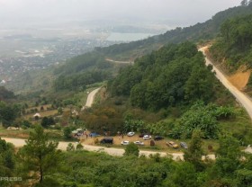 Image: Persimmon garden attracts visitors to check-in in at Nghe An