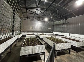 Image: Spa owners spend thousands of dollars on gardening in the city