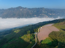 Image: The buckwheat triangle on the Suoi Thau steppe