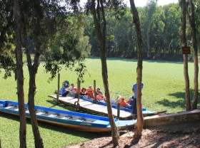Image: The idyllic beauty of Tra Su Melaleuca forest
