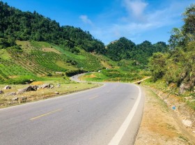 Image: The trip of a small family to Moc Chau is warm and beautiful