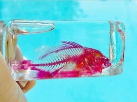 Image: 10x pick up animal carcasses and dye them, customers buy them all the way