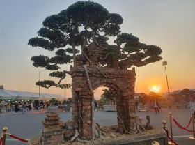 Image: Ancient birth tree embraced the village gate, was paid 100 gold trees but the owner did not sell it