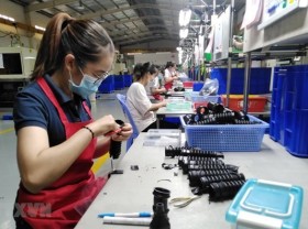 Image: Dong Nai reports 13% export growth