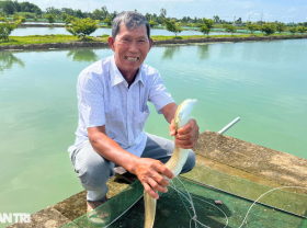 Image: Ca Mau farmer decided to raise “strange” fish and suddenly became a billionaire