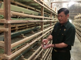 Image: Collect billions from small birds like holding hands, laying eggs, “it’s over”