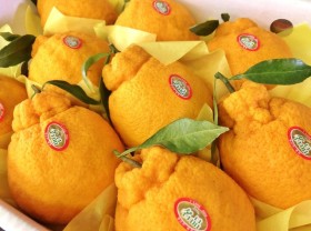 Image: Fancy star apple, tangerine 300,000 VND/fruit on Tet holiday
