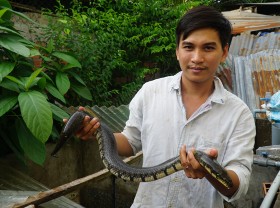 Image: Feeding animals once a week, the western guy earns tens of thousands of dollars/per year