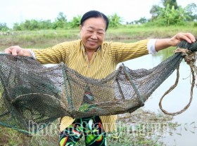 Image: How do raise crabs to trap all big ones, selling for $12/kg?