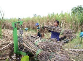 Image: Extra sugar import tariff quota allocated via auction