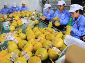 Image: Large room for exports to UK remains
