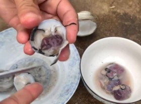 Image: Precious animals must definitely try when coming to Quang Ninh, the price is up to 400,000 VND/kg