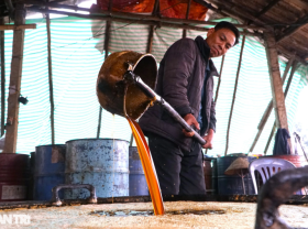 Image: A place specializing in producing sweet honey to eat with Banh Chung on the Tet holiday