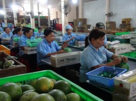 Image: Veggie, fruit exports expected to maintain high growth next year