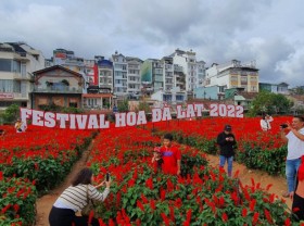 Image: Da Lat is brilliant on the occasion of the Flower Festival