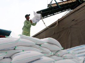Image: Rice exports to Northern Europe rise sharply
