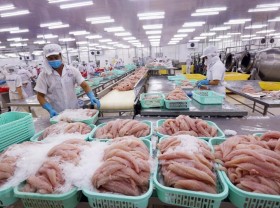 Image: Tra fish exports hit all-time high