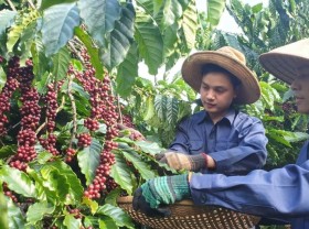 Image: Vietnam sees higher agro trade surplus