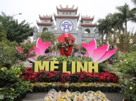 Image: The largest flower garden in the North is ready for the festival