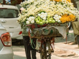 Image: ﻿Experience Hanoi in its autumn glory