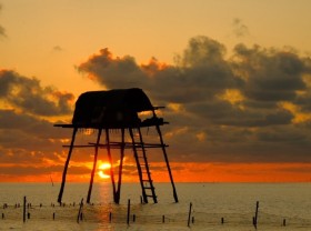 Image: ﻿Fishing for the best photo at dawn